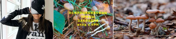 меф VHQ Надым