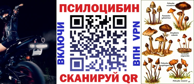 Псилоцибиновые грибы Psilocybine cubensis  Купить где  Иваново 